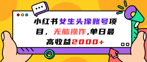 小红书女生头像账号项目，无脑操作单日最高收益2000+-多课Ai资源库